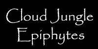 Cloud Jungle Epiphytes